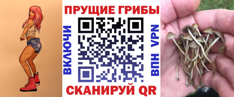 Псилоцибиновые грибы мухоморы  Каменка 